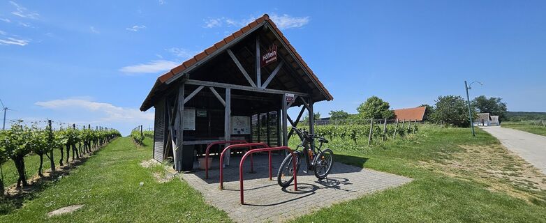 Fotografia z Tanjasusanna na trase