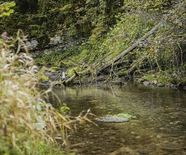 Gauchachschlucht