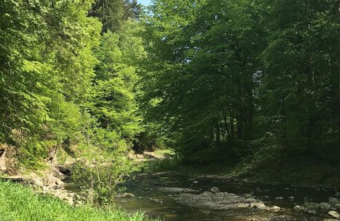 Papst-Franziskus Pilgerweg_Oststeiermark