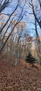 Foto von Daniele Spezia entlang der Tour