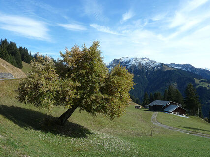 Im Aufstieg oberhalb Pany
