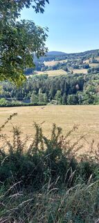 Fotografija s spletne strani Friedbert Stegmann na poti