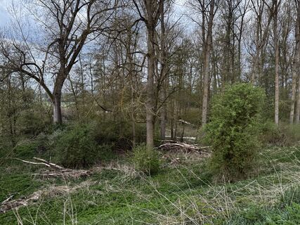 Fotografia z Schaali na trase