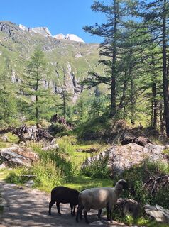 Photo de Irmi♧ le long du parcours