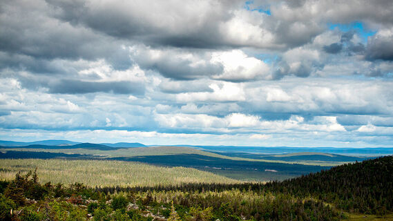Blick vom Ruuhitunturi