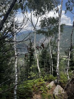 Foto von Nadia Skretas entlang der Tour