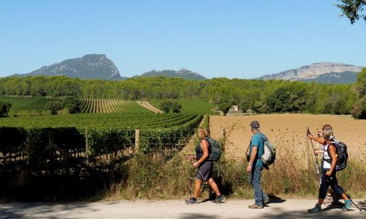 Am Rande der Weinberge_CDRP34