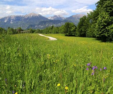 Selce - Blick auf die Karawanken