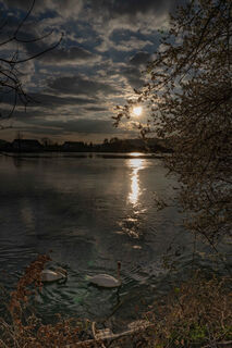 Abendstimmung am Rheinufer