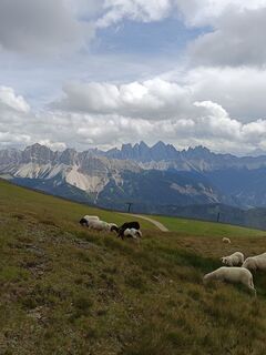 Foto fra Adam Akwen underveis på turen