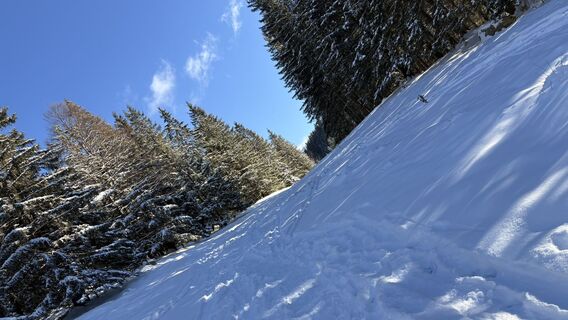 Foto von Alex GreenGiasing entlang der Tour