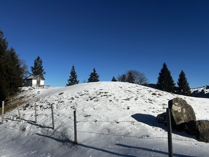 Foto von b14jpo entlang der Tour