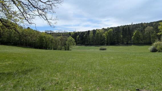 Foto von Edero entlang der Tour