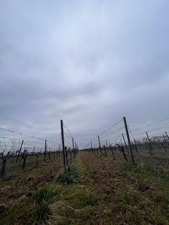 Foto von Daniel Kapp entlang der Tour