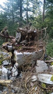 Fotografija s spletne strani Davor Puklin na poti