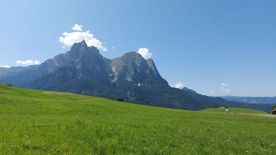 Foto von Anita Scherhag entlang der Tour