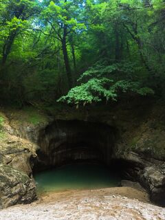 Die Quelle des Groin