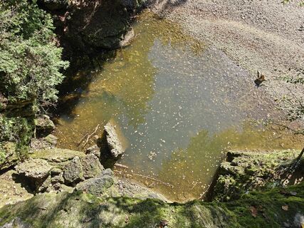 Fotografie de la Christopher Danter de-a lungul turului