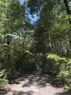 Photo de Moonytiger le long du parcours