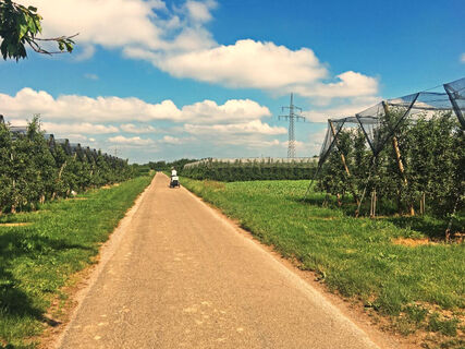 Radfahrer auf dem Radweg
