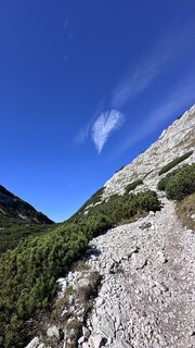 Photo de Mountain Cat ? ⛰️ le long du parcours