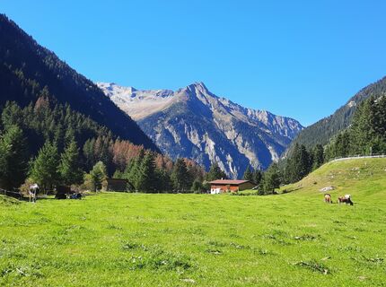 Foto de Peter Gschlößl a lo largo del recorrido