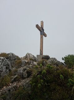Fotografia z cornes na trase