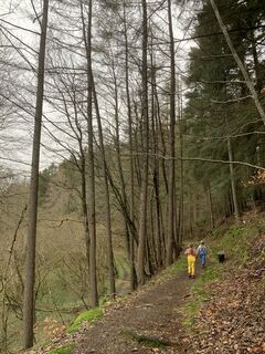 Photo from vieletausendkilometer along the tour