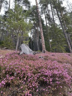 Foto von Erwin01 entlang der Tour
