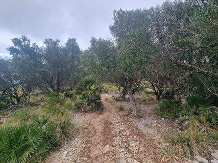 Photo de Volker Wagener le long du parcours