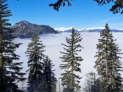 Foto von Daniela König 1 entlang der Tour