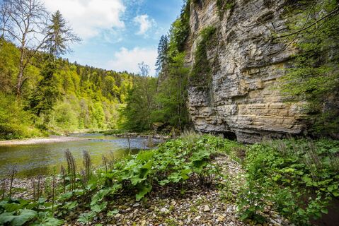 Wutachschlucht mit Felsformationen