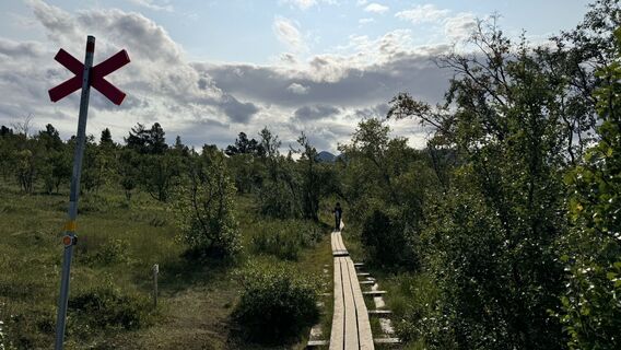 Fotografia z Justin Rider na trase