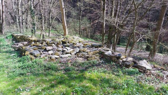 Foto van Hubert Sellnar langs de tour