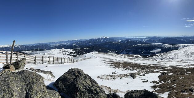 Foto de Schabsi a lo largo del recorrido