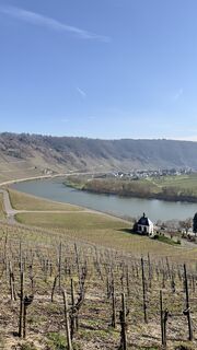 Fotografie de la MM de-a lungul turului