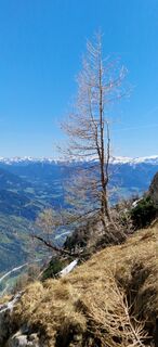 Foto von rudoze entlang der Tour