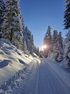 Fotó a Magnus Moser honlapról a túra során