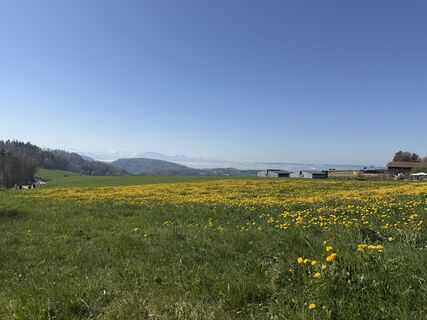 Fotografie z Jelena Kuehn na trase
