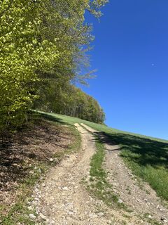 Zdjęcie z Gerlinde Hofer wzdłuż trasy