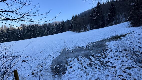 Foto von peter_oe entlang der Tour