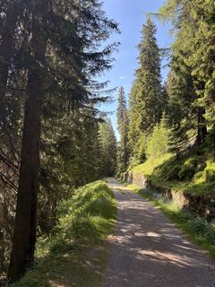 Foto von Stucki Sven entlang der Tour