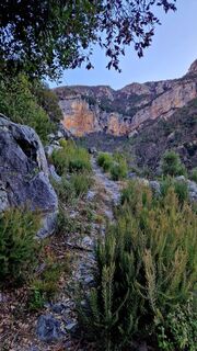 Foto de Fabrizi Mellano a lo largo del recorrido