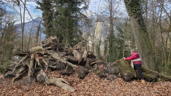 Foto von w.heiss entlang der Tour