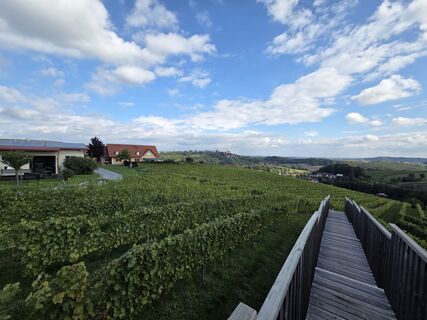 Фото с сайта Zahrni78 во время экскурсии