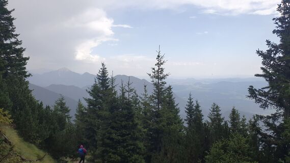 Fotografija s spletne strani Anica varga na poti