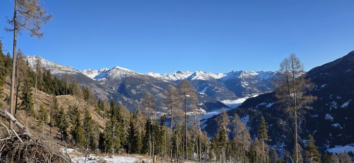 Fotografija s spletne strani JPseines na poti