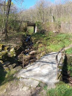 Fotografija s spletne strani Paolo Paganini na poti