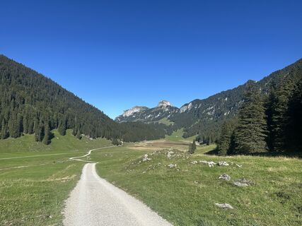 Fotografie z Rohkost1 na trase