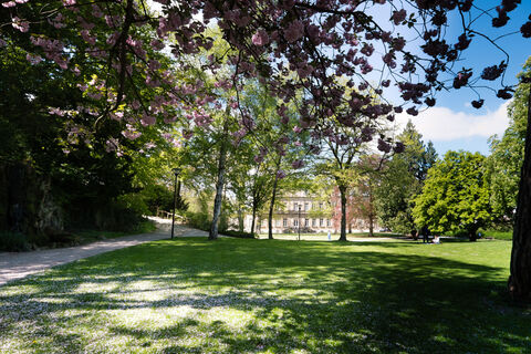 Palaisgarten Detmold